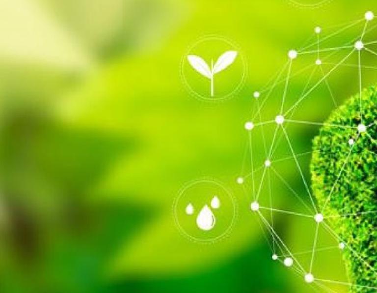 JSE Training Academy | Learn about shares and investing