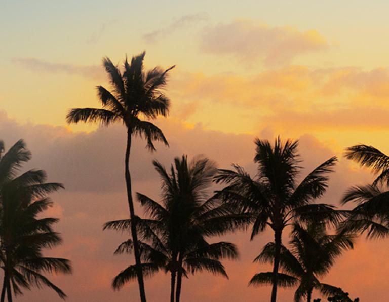 30 years celebration