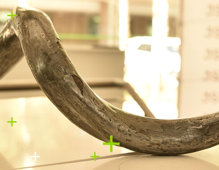 China actively managed etf listing_1440 x 390