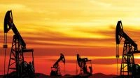 What are commodities