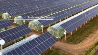 sustainability bonds
