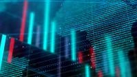 JSE insights